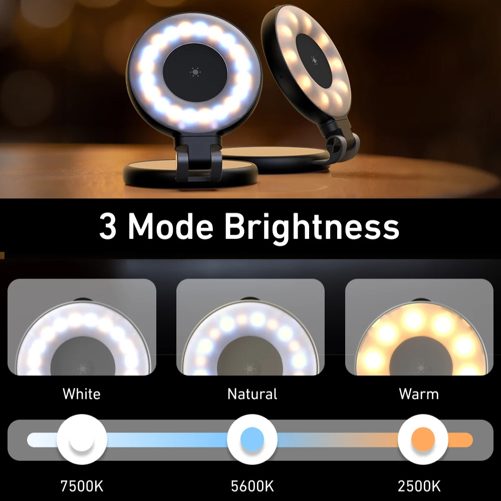 Magnetic Phone Selfie Light: 180° Flip, Built-in Mirror, USB Rechargeable