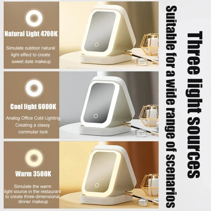 Travel LED Makeup Mirror Travel Case & Cosmetic Storage Box | Large Capacity, Dimmable Lighting